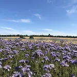 דירה Werft &