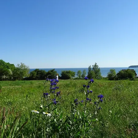 Werft&meer * Lauterbach (Rugen)