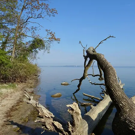 Werft & Appartamento *