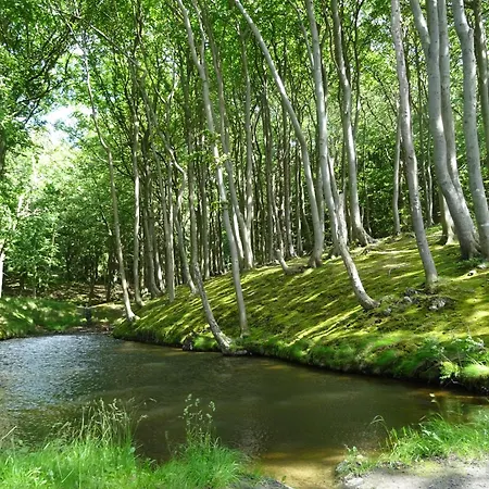 Werft & * لوترباخ