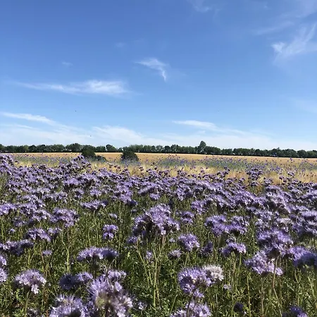 Appartement Werft&meer